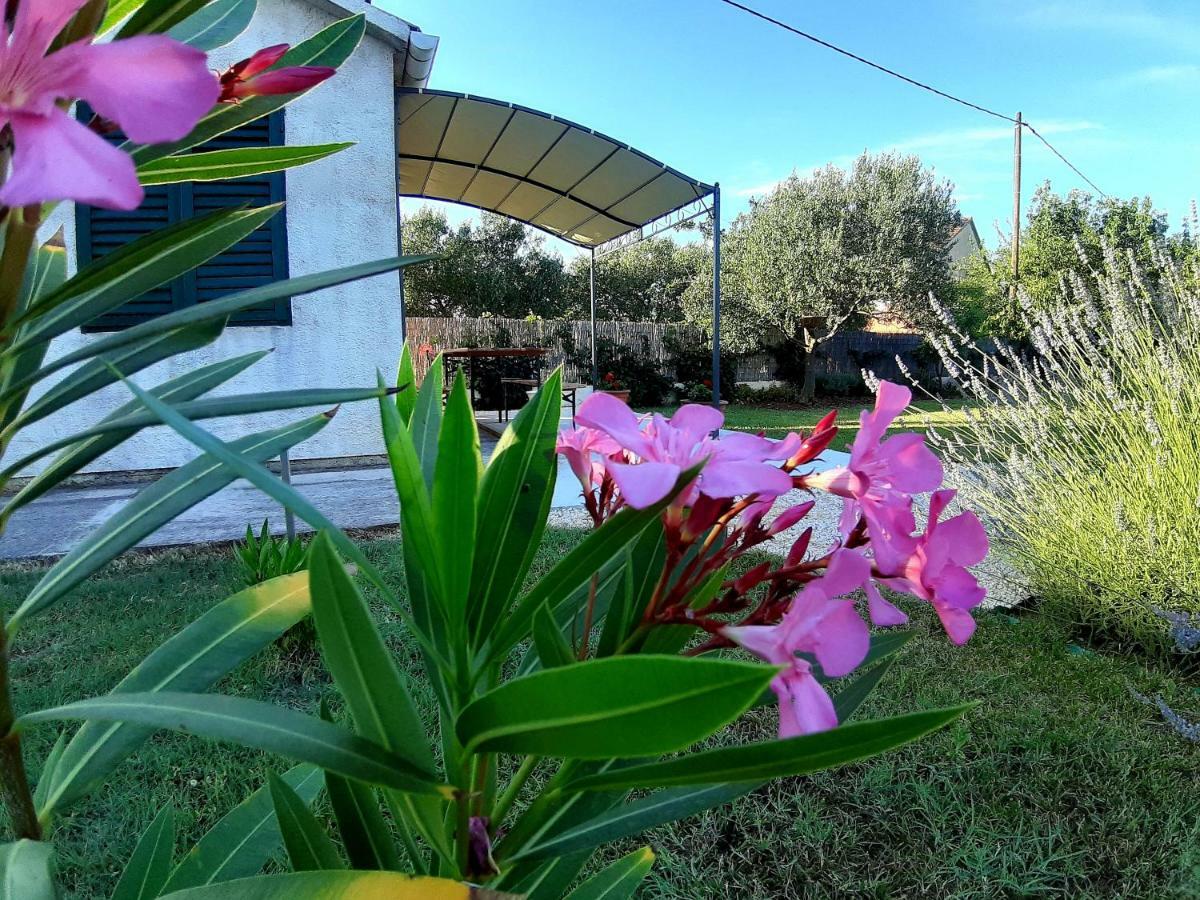 Holiday Home Villa Emma Debeljak エクステリア 写真